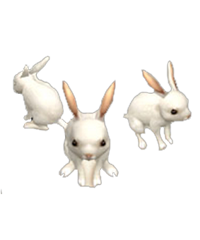 Lunar Rabbits